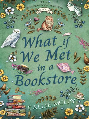 cover image of What If We Met In a Bookstore